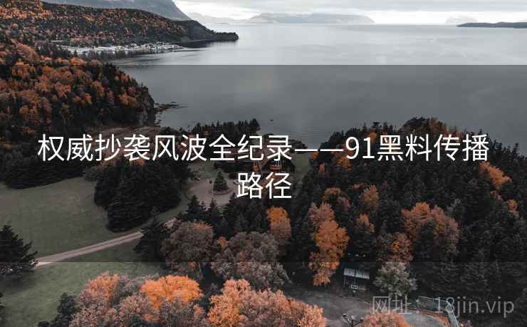 权威抄袭风波全纪录——91黑料传播路径