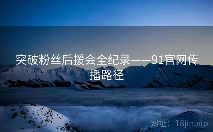 突破粉丝后援会全纪录——91官网传播路径