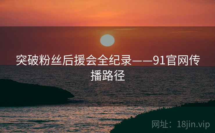突破粉丝后援会全纪录——91官网传播路径