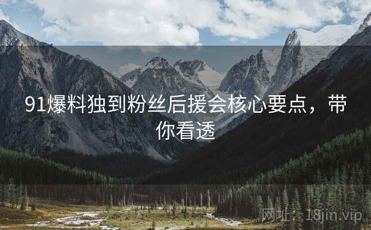 91爆料独到粉丝后援会核心要点，带你看透
