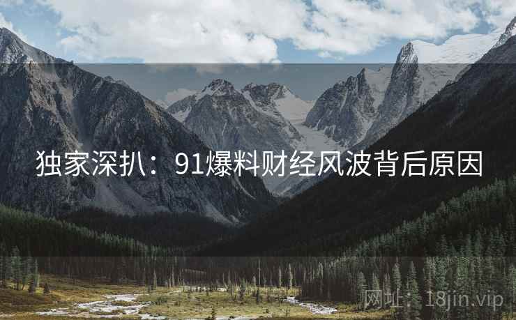 独家深扒：91爆料财经风波背后原因