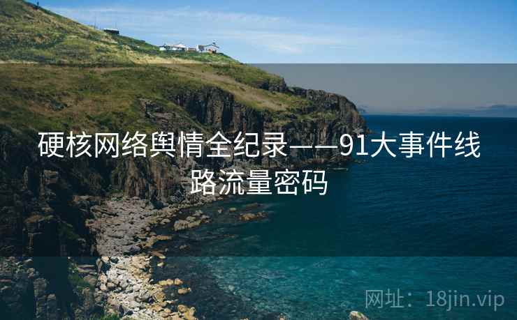 硬核网络舆情全纪录——91大事件线路流量密码