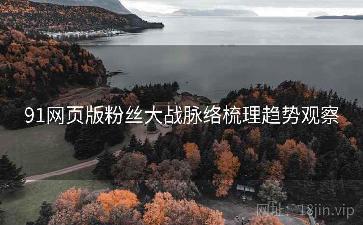 91网页版粉丝大战脉络梳理趋势观察