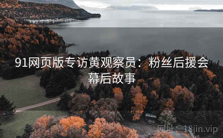 91网页版专访黄观察员：粉丝后援会幕后故事