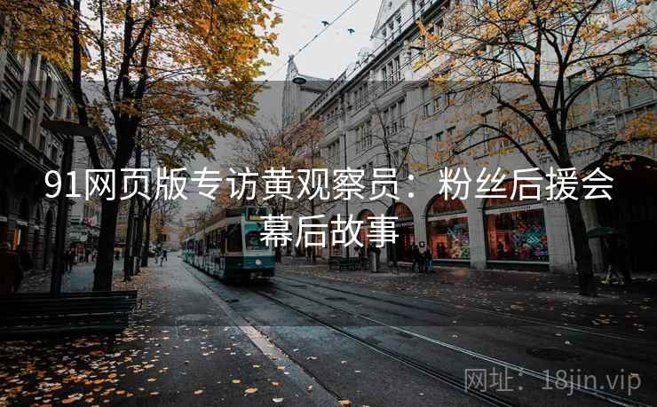 91网页版专访黄观察员：粉丝后援会幕后故事