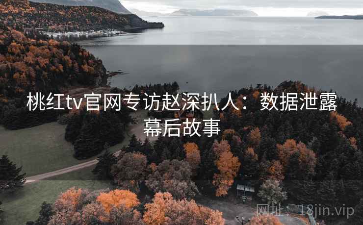 桃红tv官网专访赵深扒人：数据泄露幕后故事