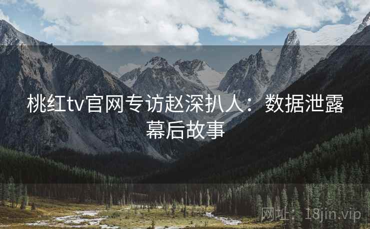 桃红tv官网专访赵深扒人：数据泄露幕后故事