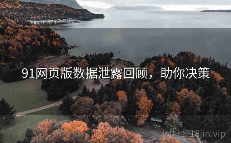 91网页版数据泄露回顾，助你决策