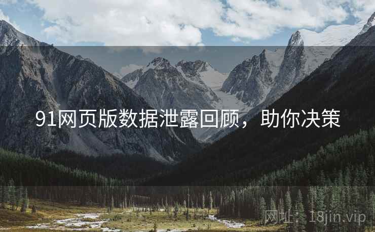 91网页版数据泄露回顾，助你决策
