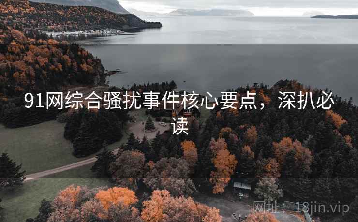 91网综合骚扰事件核心要点，深扒必读
