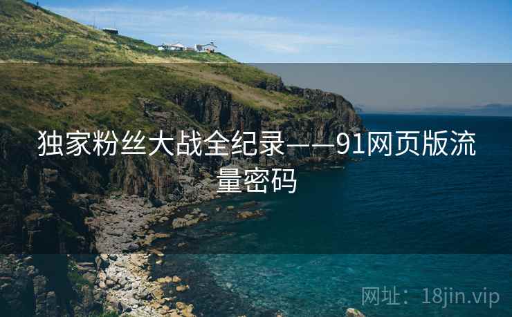 独家粉丝大战全纪录——91网页版流量密码