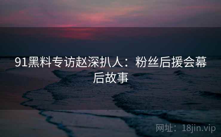 91黑料专访赵深扒人：粉丝后援会幕后故事